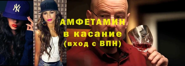 прущие грибы Кулебаки