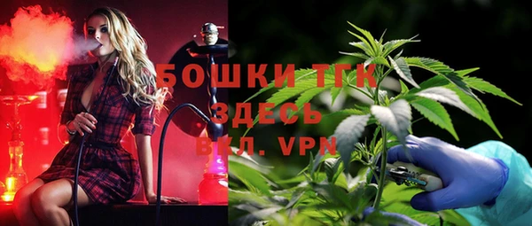 мяу мяу мука Бородино