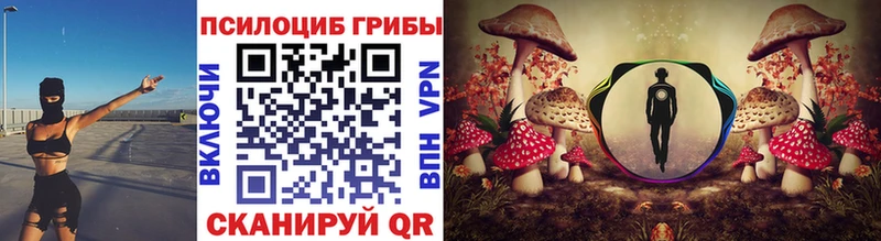 Псилоцибиновые грибы Psilocybine cubensis  Горячий Ключ 