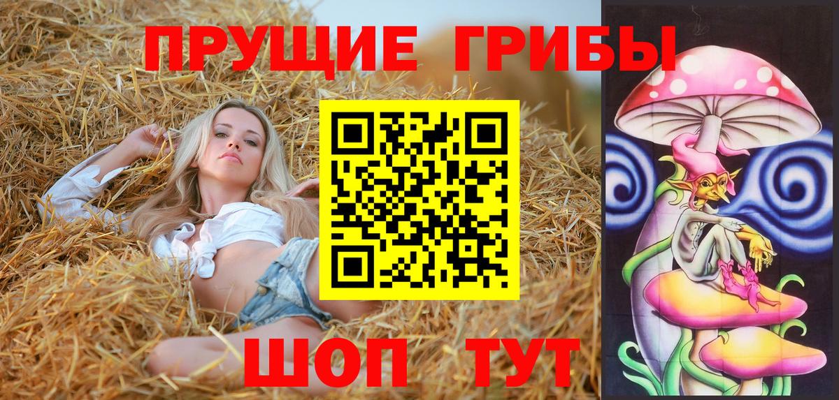 Галлюциногенные грибы прущие грибы Горячий Ключ