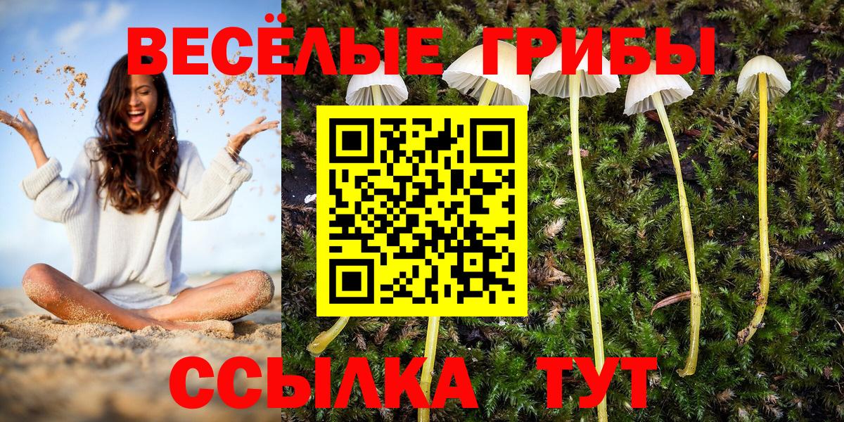 Галлюциногенные грибы прущие грибы  где продают наркотики  Галлюциногенные грибы ЛСД  Горячий Ключ  Вход с VPN 